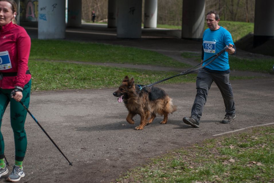 W Zabrzu odbył się III Charytatywny Bieg dla Autyzmu [FOTORELACJA] - galeria