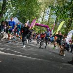 Trwa 8. Katowicki Dzień Psiaka [FOTORELACJA] - galeria