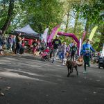 Trwa 8. Katowicki Dzień Psiaka [FOTORELACJA] - galeria