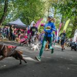 Trwa 8. Katowicki Dzień Psiaka [FOTORELACJA] - galeria