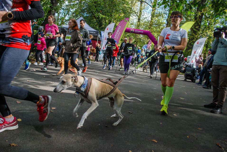 Trwa 8. Katowicki Dzień Psiaka [FOTORELACJA] - galeria