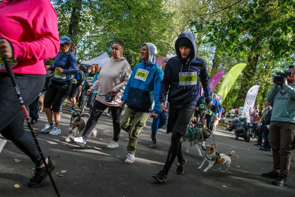 Trwa 8. Katowicki Dzień Psiaka [FOTORELACJA] - galeria