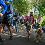 Trwa 8. Katowicki Dzień Psiaka [FOTORELACJA] - galeria