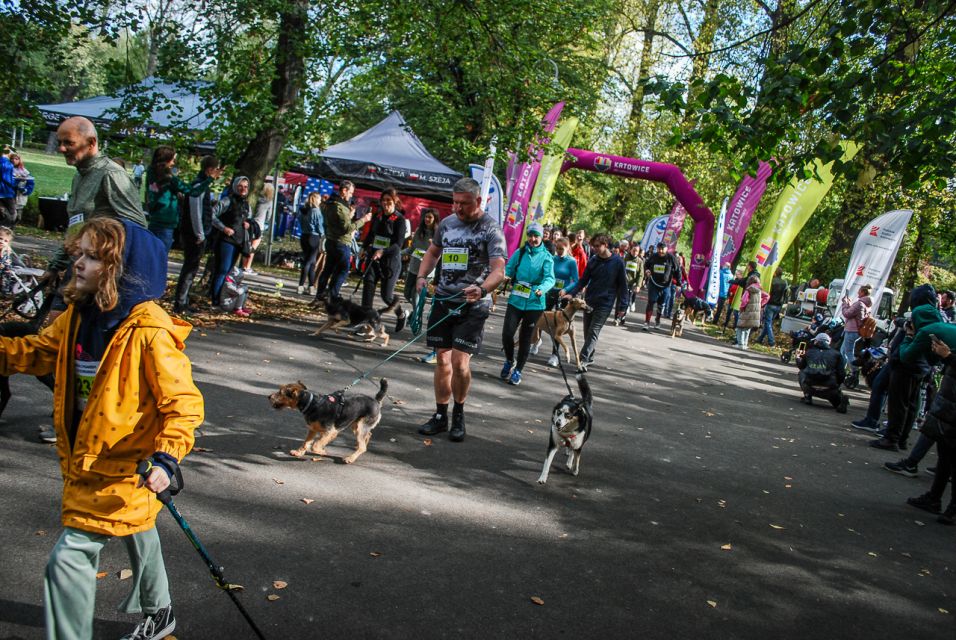 Trwa 8. Katowicki Dzień Psiaka [FOTORELACJA] - galeria