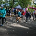 Trwa 8. Katowicki Dzień Psiaka [FOTORELACJA] - galeria