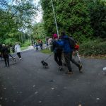 Trwa 8. Katowicki Dzień Psiaka [FOTORELACJA] - galeria