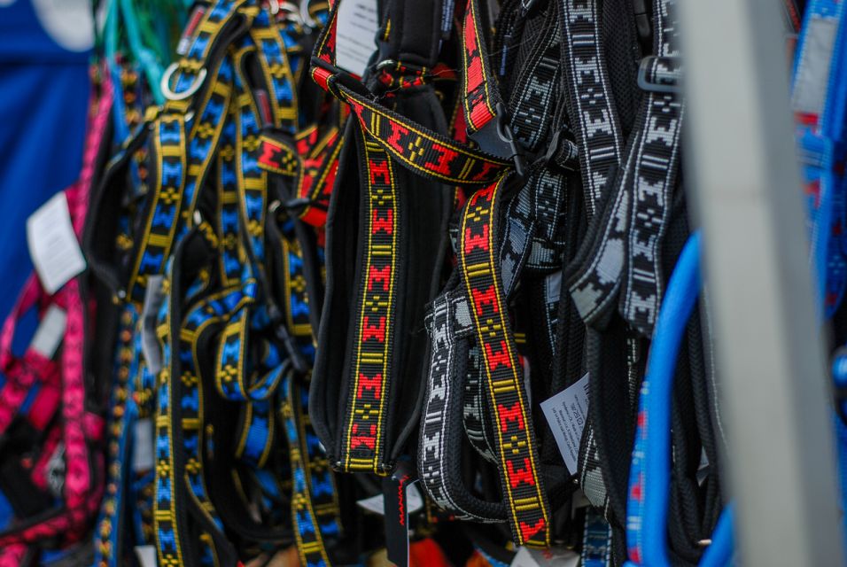 Trwa 8. Katowicki Dzień Psiaka [FOTORELACJA] - galeria