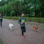 Trwa 8. Katowicki Dzień Psiaka [FOTORELACJA] - galeria