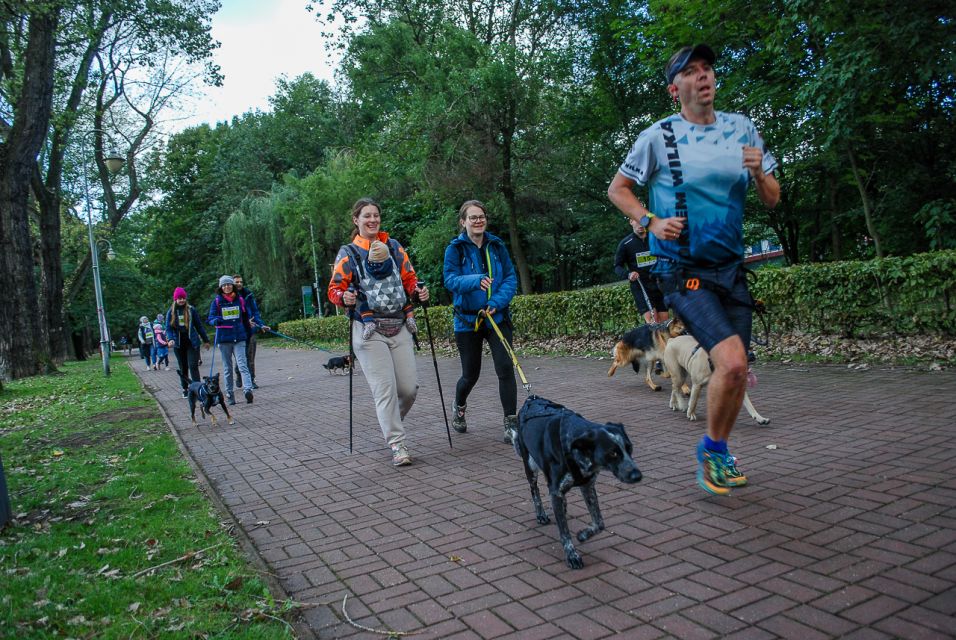 Trwa 8. Katowicki Dzień Psiaka [FOTORELACJA] - galeria