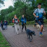 Trwa 8. Katowicki Dzień Psiaka [FOTORELACJA] - galeria