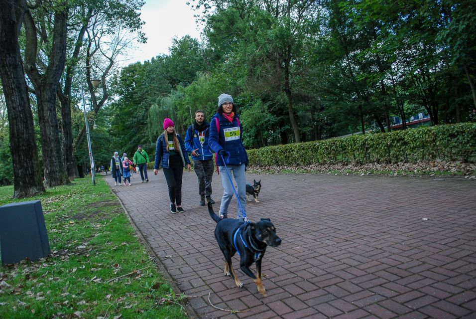 Trwa 8. Katowicki Dzień Psiaka [FOTORELACJA] - galeria