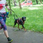 Parkrun na Dzień Dziecka - edycja 2025 [FOTORELACJA] - galeria