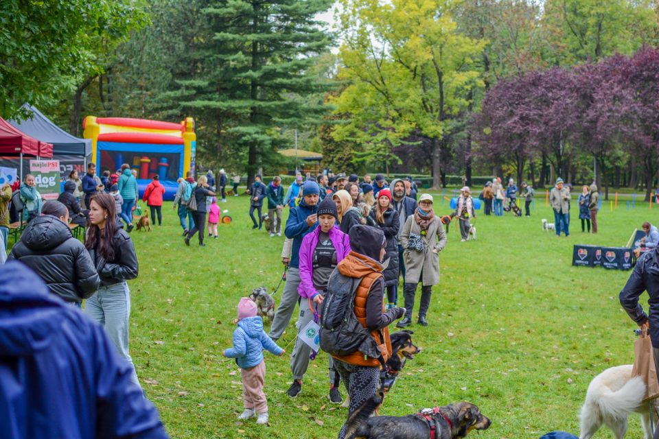 Za nami 9. Katowicki Dzień Psiaka [FOTORELACJA] - galeria