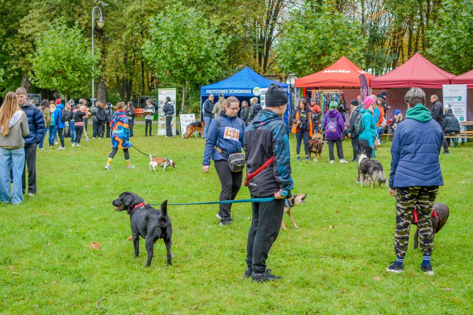 Za nami 9. Katowicki Dzień Psiaka [FOTORELACJA] - galeria