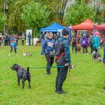 Za nami 9. Katowicki Dzień Psiaka [FOTORELACJA] - galeria