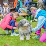 Za nami 9. Katowicki Dzień Psiaka [FOTORELACJA] - galeria