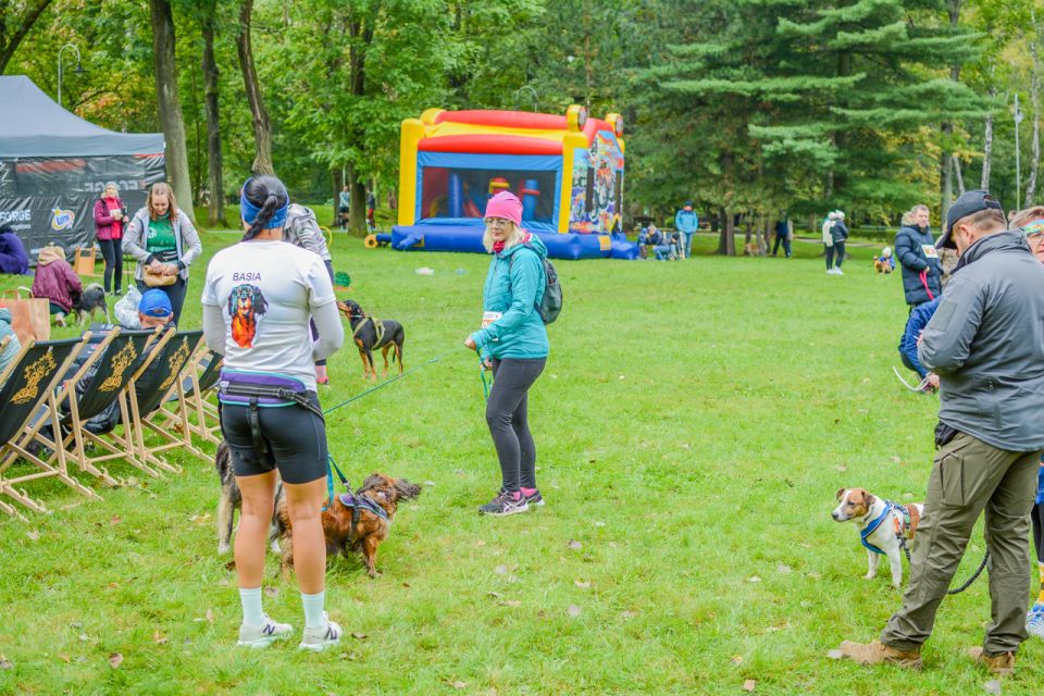 Za nami 9. Katowicki Dzień Psiaka [FOTORELACJA] - galeria
