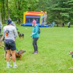 Za nami 9. Katowicki Dzień Psiaka [FOTORELACJA] - galeria