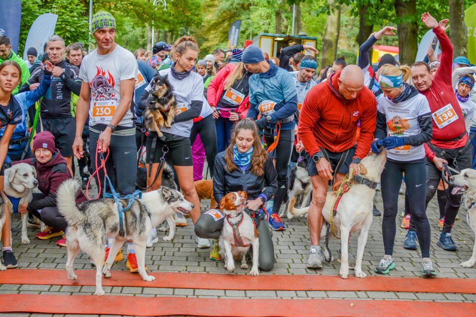 Za nami 9. Katowicki Dzień Psiaka [FOTORELACJA] - galeria