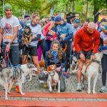 Za nami 9. Katowicki Dzień Psiaka [FOTORELACJA] - galeria