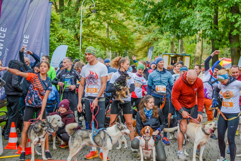 Za nami 9. Katowicki Dzień Psiaka [FOTORELACJA] - galeria
