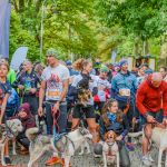 Za nami 9. Katowicki Dzień Psiaka [FOTORELACJA] - galeria