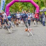 Za nami 9. Katowicki Dzień Psiaka [FOTORELACJA] - galeria