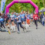 Za nami 9. Katowicki Dzień Psiaka [FOTORELACJA] - galeria