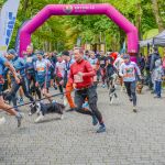 Za nami 9. Katowicki Dzień Psiaka [FOTORELACJA] - galeria