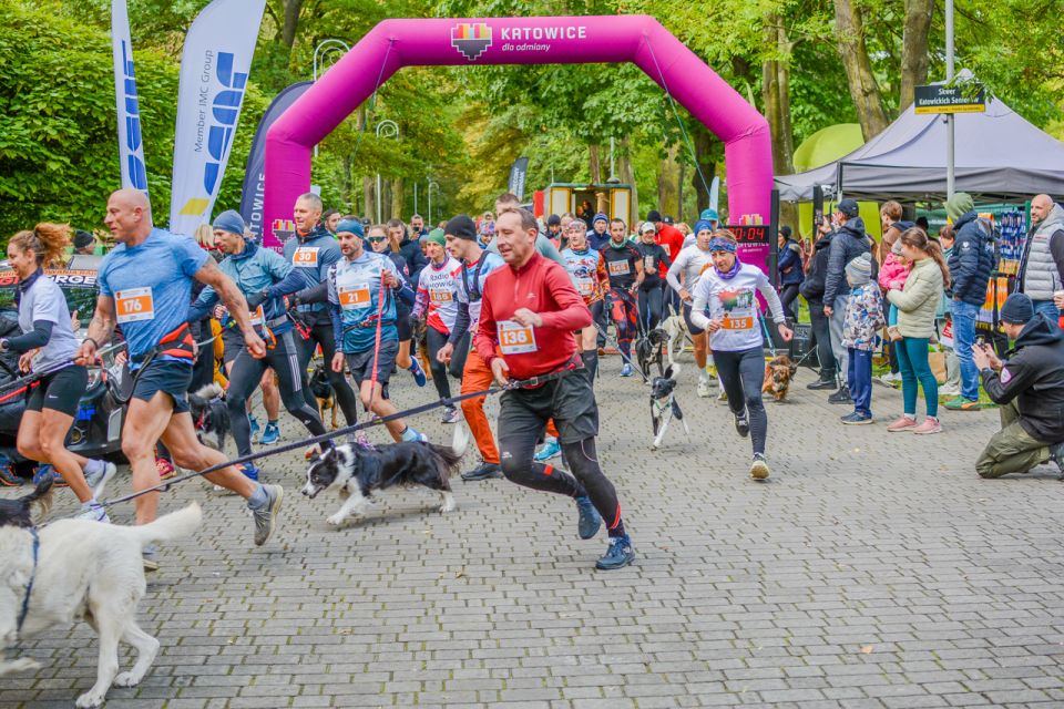 Za nami 9. Katowicki Dzień Psiaka [FOTORELACJA] - galeria