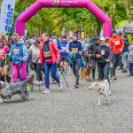 Za nami 9. Katowicki Dzień Psiaka [FOTORELACJA] - galeria