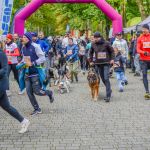 Za nami 9. Katowicki Dzień Psiaka [FOTORELACJA] - galeria