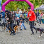 Za nami 9. Katowicki Dzień Psiaka [FOTORELACJA] - galeria