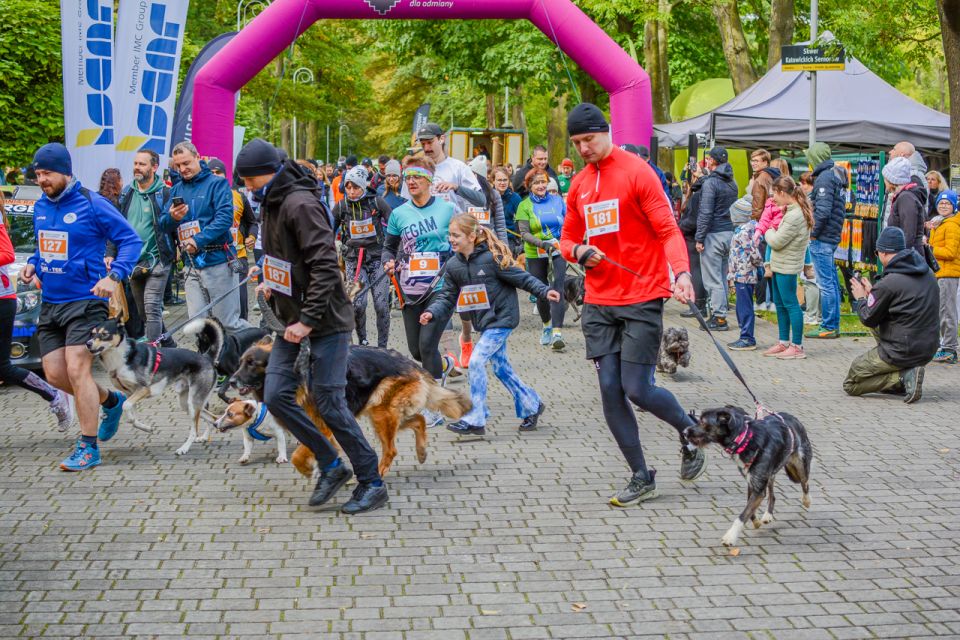 Za nami 9. Katowicki Dzień Psiaka [FOTORELACJA] - galeria