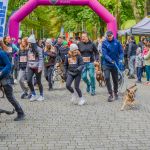 Za nami 9. Katowicki Dzień Psiaka [FOTORELACJA] - galeria