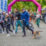 Za nami 9. Katowicki Dzień Psiaka [FOTORELACJA] - galeria