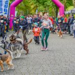 Za nami 9. Katowicki Dzień Psiaka [FOTORELACJA] - galeria