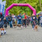 Za nami 9. Katowicki Dzień Psiaka [FOTORELACJA] - galeria