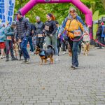 Za nami 9. Katowicki Dzień Psiaka [FOTORELACJA] - galeria