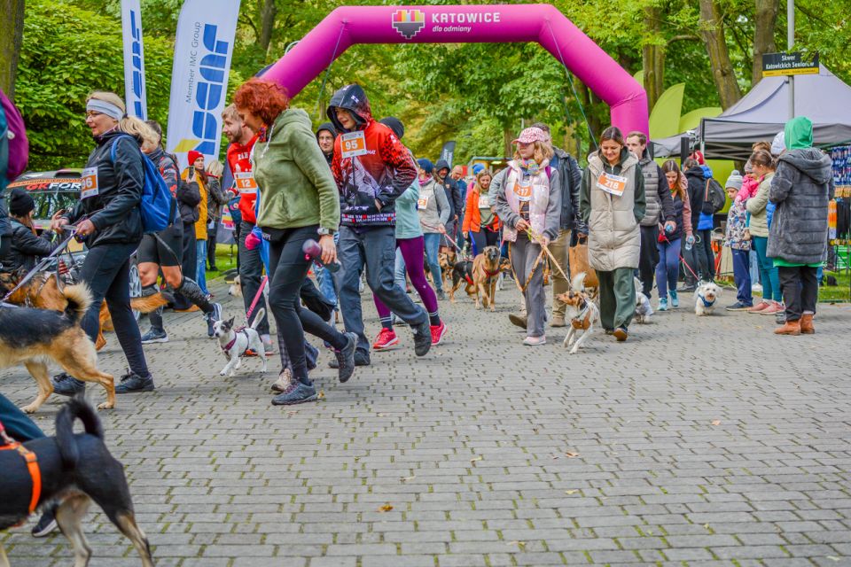 Za nami 9. Katowicki Dzień Psiaka [FOTORELACJA] - galeria