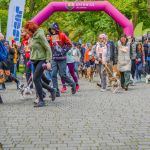 Za nami 9. Katowicki Dzień Psiaka [FOTORELACJA] - galeria