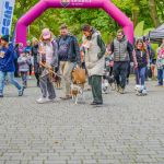 Za nami 9. Katowicki Dzień Psiaka [FOTORELACJA] - galeria