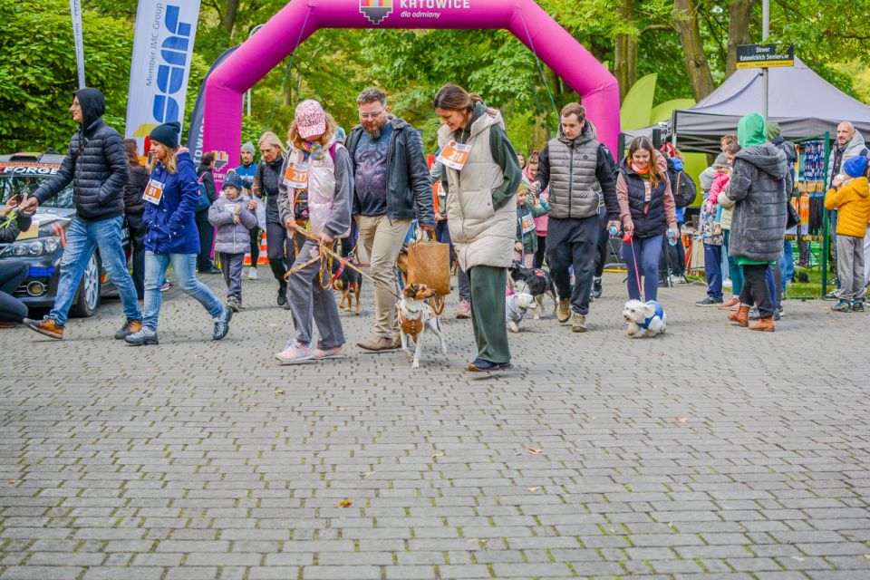 Za nami 9. Katowicki Dzień Psiaka [FOTORELACJA] - galeria