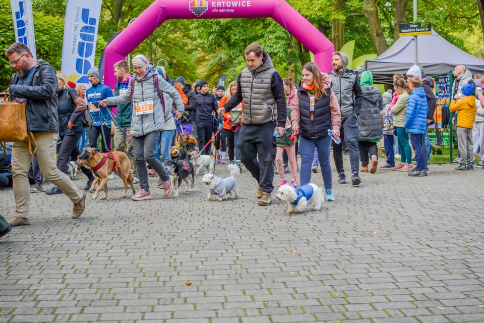 Za nami 9. Katowicki Dzień Psiaka [FOTORELACJA] - galeria