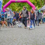 Za nami 9. Katowicki Dzień Psiaka [FOTORELACJA] - galeria