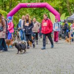 Za nami 9. Katowicki Dzień Psiaka [FOTORELACJA] - galeria