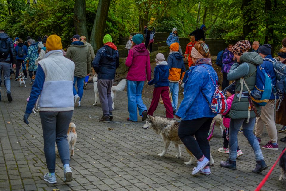 Za nami 9. Katowicki Dzień Psiaka [FOTORELACJA] - galeria