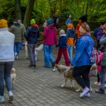 Za nami 9. Katowicki Dzień Psiaka [FOTORELACJA] - galeria