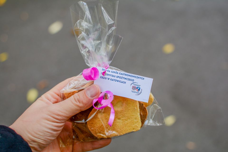 Za nami 9. Katowicki Dzień Psiaka [FOTORELACJA] - galeria