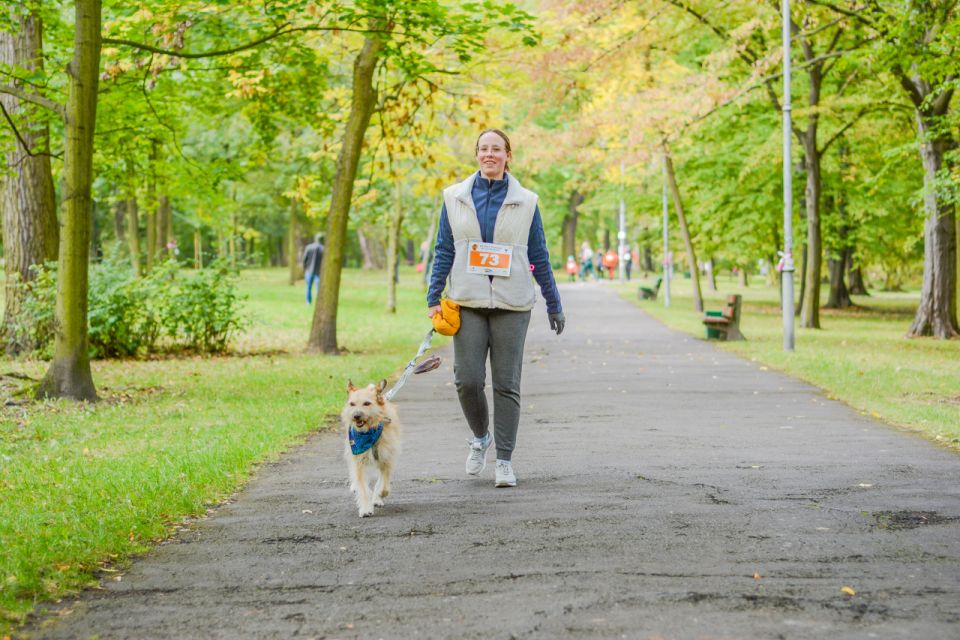 Za nami 9. Katowicki Dzień Psiaka [FOTORELACJA] - galeria